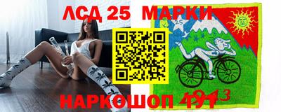 стаф Аргун